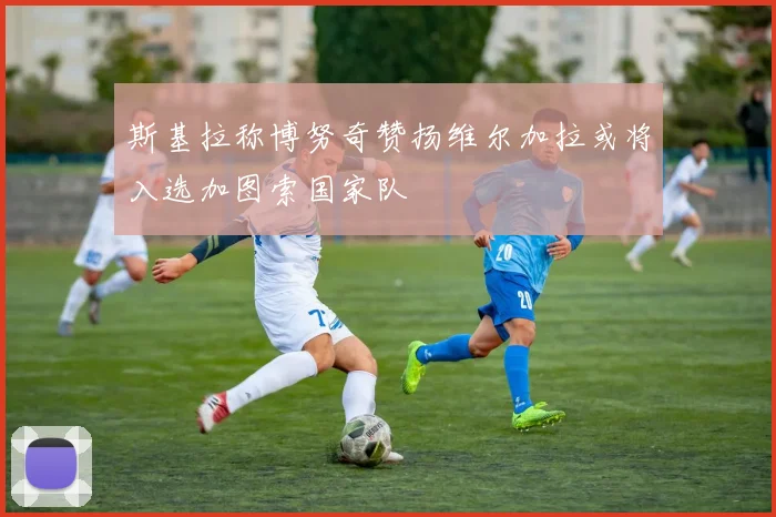 斯基拉称博努奇赞扬维尔加拉或将入选加图索国家队