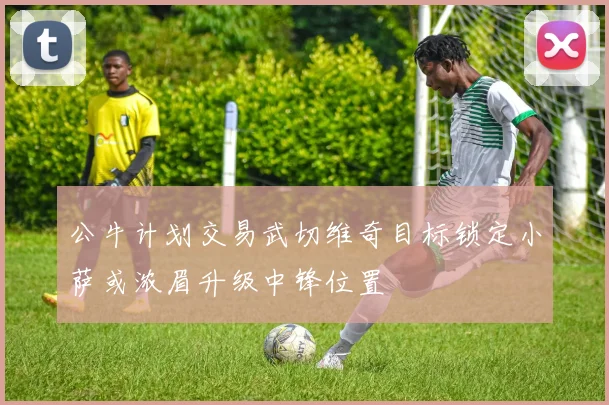 公牛计划交易武切维奇目标锁定小萨或浓眉升级中锋位置