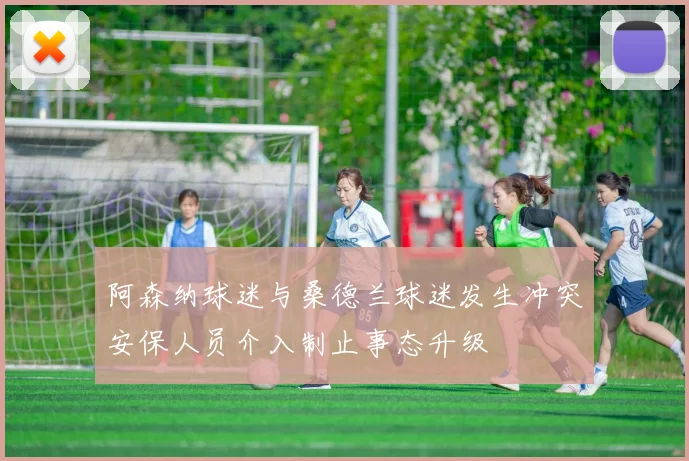 阿森纳球迷与桑德兰球迷发生冲突安保人员介入制止事态升级