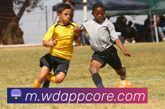 问鼎app平台生态图