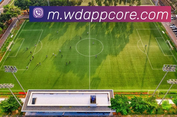 问鼎appAPP 封面图